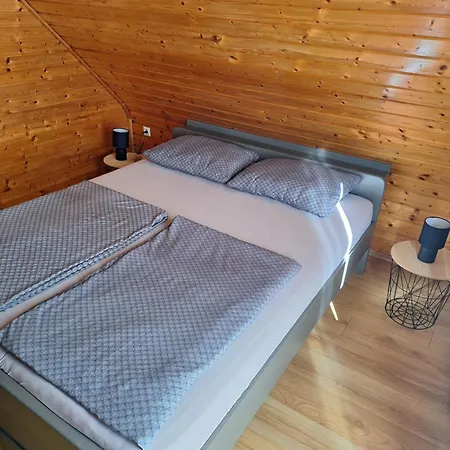 Logarska Koca Holiday home