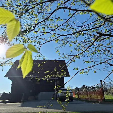 Holiday home Logarska Koca *